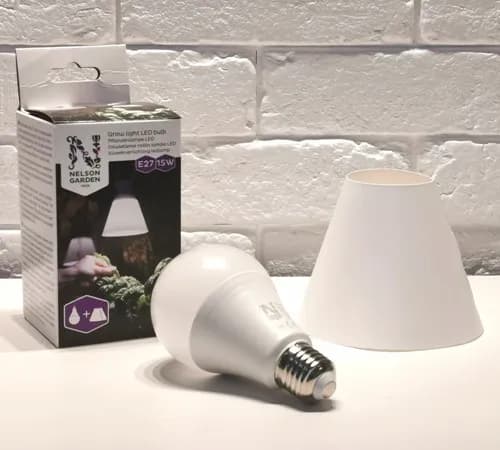 Najlepsze żarówki do roślin w Leroy Merlin – wybierz idealne oświetlenie